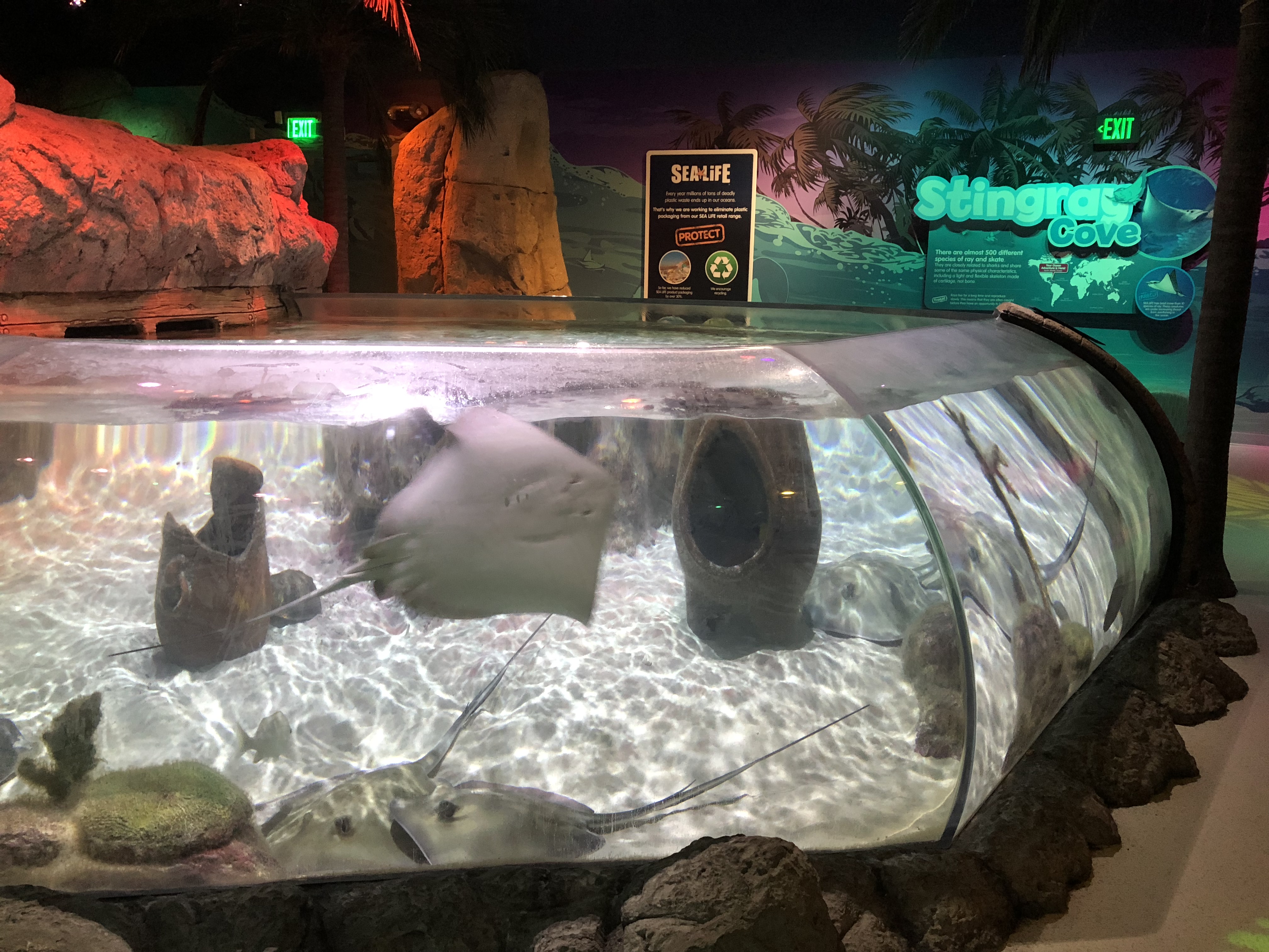 sea life orlando sea life orlando
