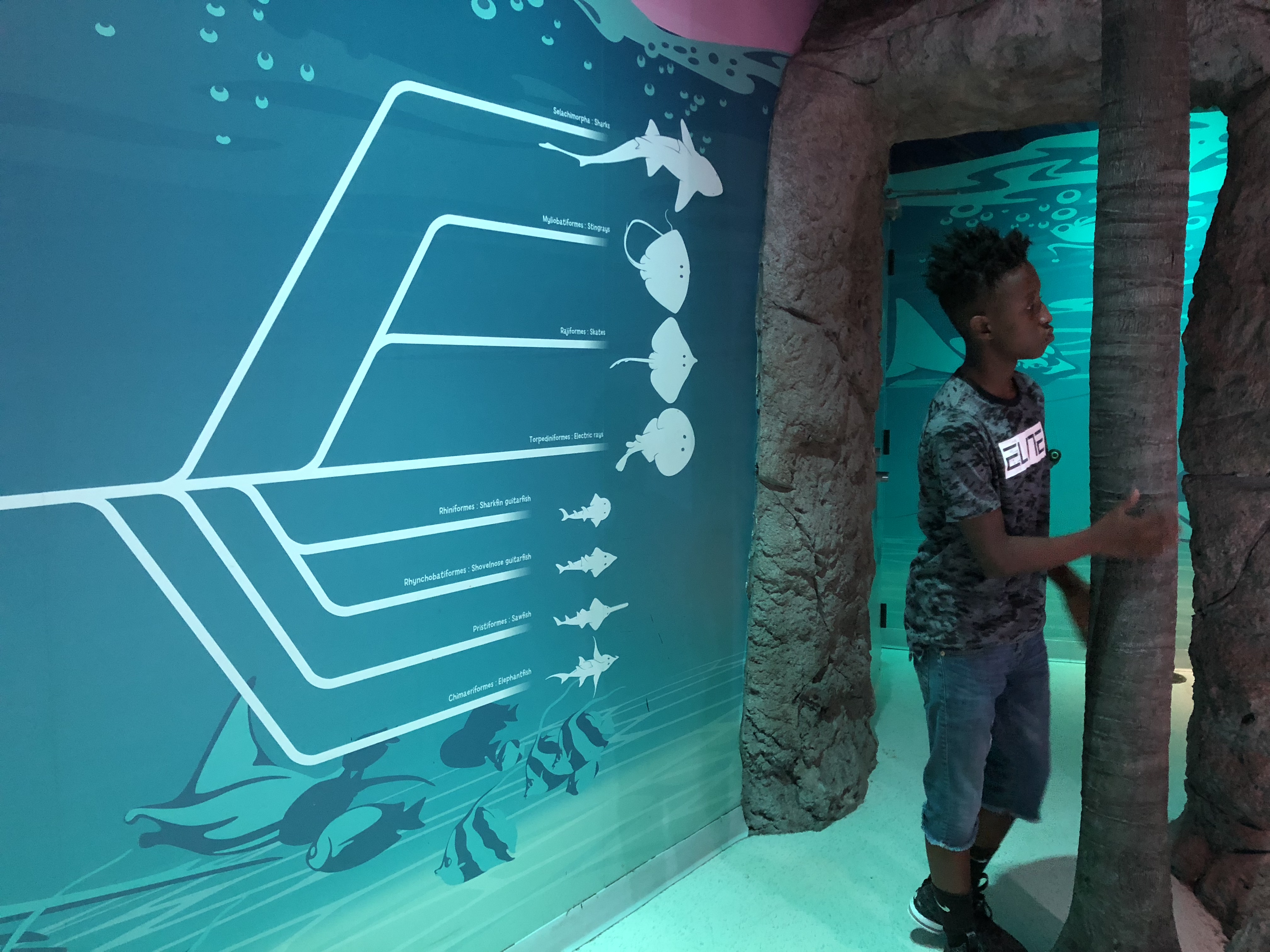 sea life orlando