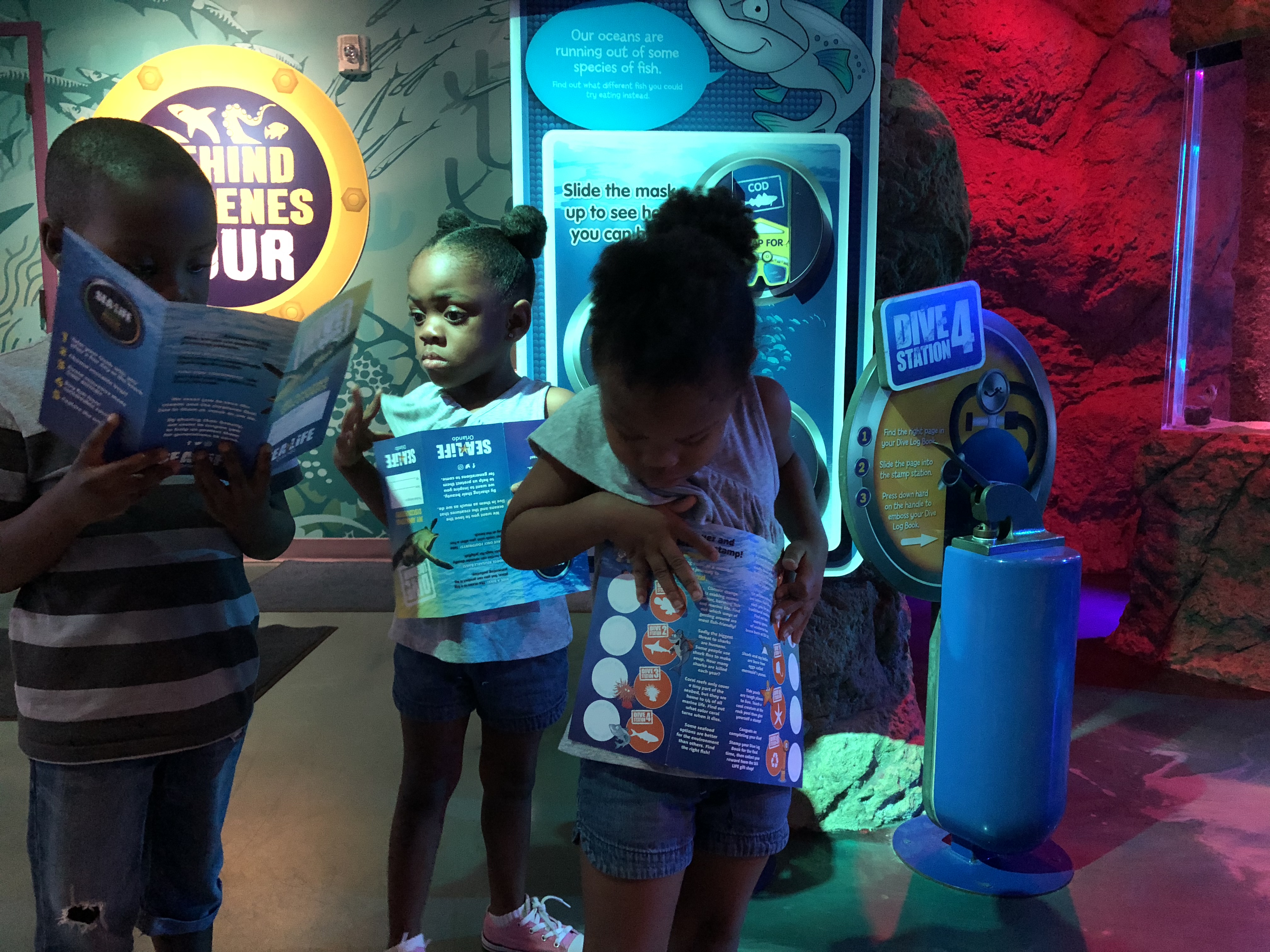sea life orlando sea life orlando