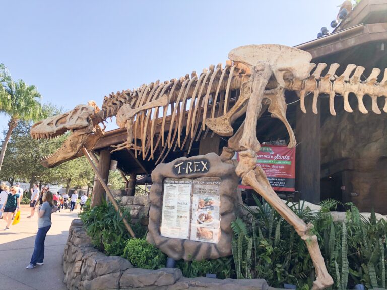 Trex Cafe