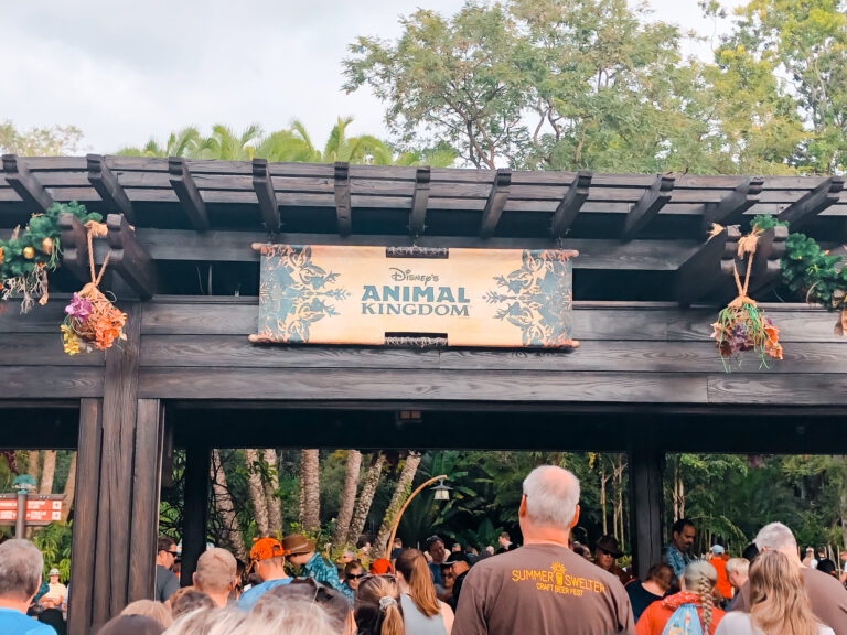 animal kingdom disney world